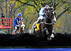 Percussionist Drums Up Grand National Triumph Percussionist Drums Up Grand National Triumph