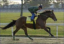 Perfect Drift Leads Contentious Californian Perfect Drift Leads Contentious Californian