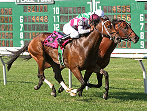 Expect Full Gate for Keeneland's Woodford Expect Full Gate for Keeneland's Woodford