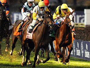 27-1 Perfect Shirl Stuns Filly & Mare Turf 27-1 Perfect Shirl Stuns Filly & Mare Turf