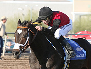 Persuasive Paul Captures Turf Paradise Derby Persuasive Paul Captures Turf Paradise Derby