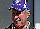 F-T November Sale: Pete Bradley & Dayatthespa F-T November Sale: Pete Bradley & Dayatthespa