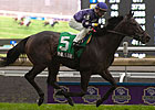 Phil's Dream Comes Through in Nearctic Upset Phil's Dream Comes Through in Nearctic Upset
