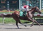 Jockey Piermarini Reaches 2,000-Win Mark Jockey Piermarini Reaches 2,000-Win Mark