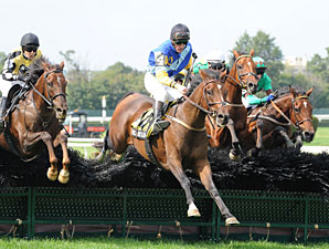 48-1 Shot Takes Lonesome Glory Steeplechase 48-1 Shot Takes Lonesome Glory Steeplechase