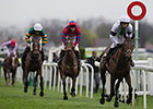 Longshot Pineau De Re Wins Grand National Longshot Pineau De Re Wins Grand National