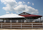MHBPA Hoping for T-bred Meet at Mt. Pleasant MHBPA Hoping for T-bred Meet at Mt. Pleasant