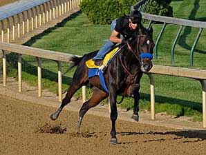 Pioneerof the Nile Cruises in 1:01 Work Pioneerof the Nile Cruises in 1:01 Work