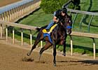 Pioneerof the Nile Cruises in 1:01 Work