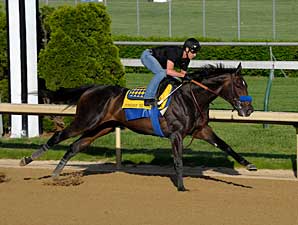 Haskin's Derby Report: Monday Madness Haskin's Derby Report: Monday Madness