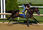 Haskin's Derby Report: Monday Madness Haskin's Derby Report: Monday Madness