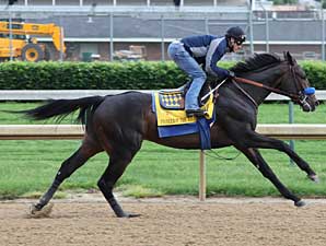Pioneerof the Nile Zips in Churchill Workout Pioneerof the Nile Zips in Churchill Workout