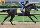 Pioneerof the Nile Zips in Churchill Workout