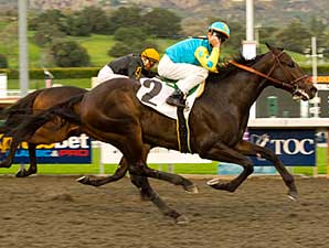 Pioneerof the Nile On Course in Lewis Pioneerof the Nile On Course in Lewis