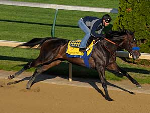 Pioneerof the Nile Sizzles at Churchill Pioneerof the Nile Sizzles at Churchill
