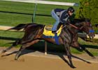 Pioneerof the Nile Sizzles at Churchill Pioneerof the Nile Sizzles at Churchill
