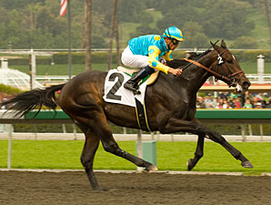 Stud Fee Set for Pioneerof the Nile Stud Fee Set for Pioneerof the Nile