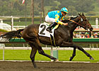 'Pioneer' On Course in San Felipe Win 'Pioneer' On Course in San Felipe Win