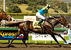 Pioneerof The Nile: More Than Just a Survivor Pioneerof The Nile: More Than Just a Survivor