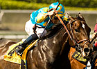 Injury Ends career of Pioneerof the Nile