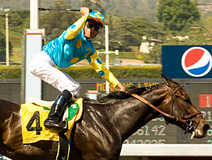 Pioneerof the Nile Busts Bullet Workout Pioneerof the Nile Busts Bullet Workout