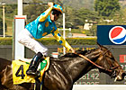Pioneerof The Nile to Vinery Pioneerof The Nile to Vinery