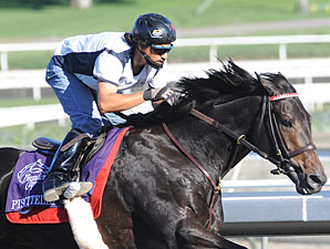 Derby Hopeful Piscitelli Sidelined Derby Hopeful Piscitelli Sidelined