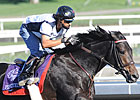Derby Hopeful Piscitelli Sidelined Derby Hopeful Piscitelli Sidelined