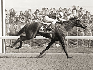 Pedigree: Kentucky Derby Winners as Sires Pedigree: Kentucky Derby Winners as Sires