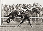 Pedigree: Kentucky Derby Winners as Sires