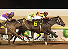 Pleasant Storm Tops OK-bred Classic Pleasant Storm Tops OK-bred Classic
