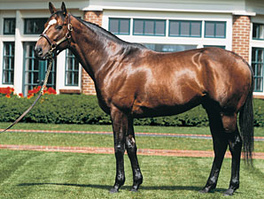 First Winner for Pleasantly Perfect First Winner for Pleasantly Perfect