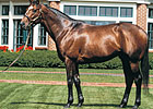 First Winner for Pleasantly Perfect