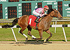 Please Explain is Late Kentucky Oaks Entry Please Explain is Late Kentucky Oaks Entry