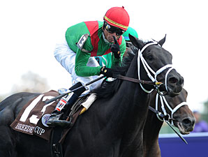 Pluck Facing Challenge in Commonwealth Turf Pluck Facing Challenge in Commonwealth Turf