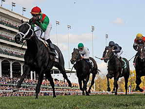 Team Valor Sends All Horses to Trainer Motion Team Valor Sends All Horses to Trainer Motion
