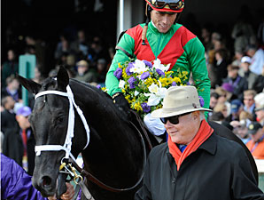BC Juvenile Turf Champ Pluck Back in Training BC Juvenile Turf Champ Pluck Back in Training