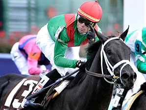 Pluck Bypassing Palm Beach for TB Allowance Pluck Bypassing Palm Beach for TB Allowance