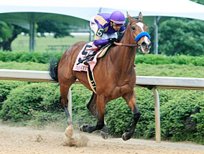 Plum Pretty Consigned to Keeneland November Plum Pretty Consigned to Keeneland November
