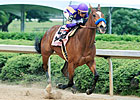 Plum Pretty Consigned to Keeneland November