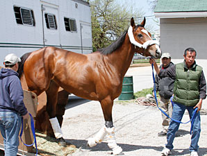 Kentucky Oaks Field Could be Full Kentucky Oaks Field Could be Full