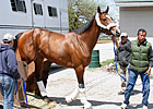 Kentucky Oaks Field Could be Full Kentucky Oaks Field Could be Full
