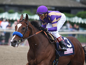 Plum Pretty Scorches Cotillion Field Plum Pretty Scorches Cotillion Field