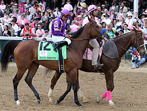 Plum Pretty's Half Sister in Midlantic Sale Plum Pretty's Half Sister in Midlantic Sale