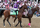 Plum Pretty's Half Sister in Midlantic Sale Plum Pretty's Half Sister in Midlantic Sale