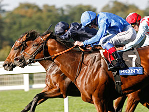 Poet's Voice has Final Say in QEII Stakes Poet's Voice has Final Say in QEII Stakes