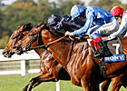 Poet's Voice has Final Say in QEII Stakes Poet's Voice has Final Say in QEII Stakes