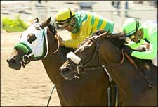 Point Determined Gets Grade in Affirmed 'Cap Point Determined Gets Grade in Affirmed 'Cap