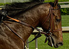 Point Determined Retired to Montesacro Point Determined Retired to Montesacro