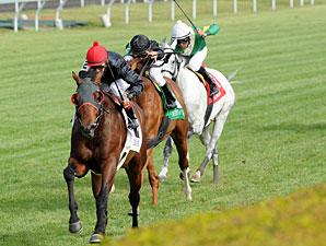 Point of Entry Claims Elkhorn on Closing Day Point of Entry Claims Elkhorn on Closing Day